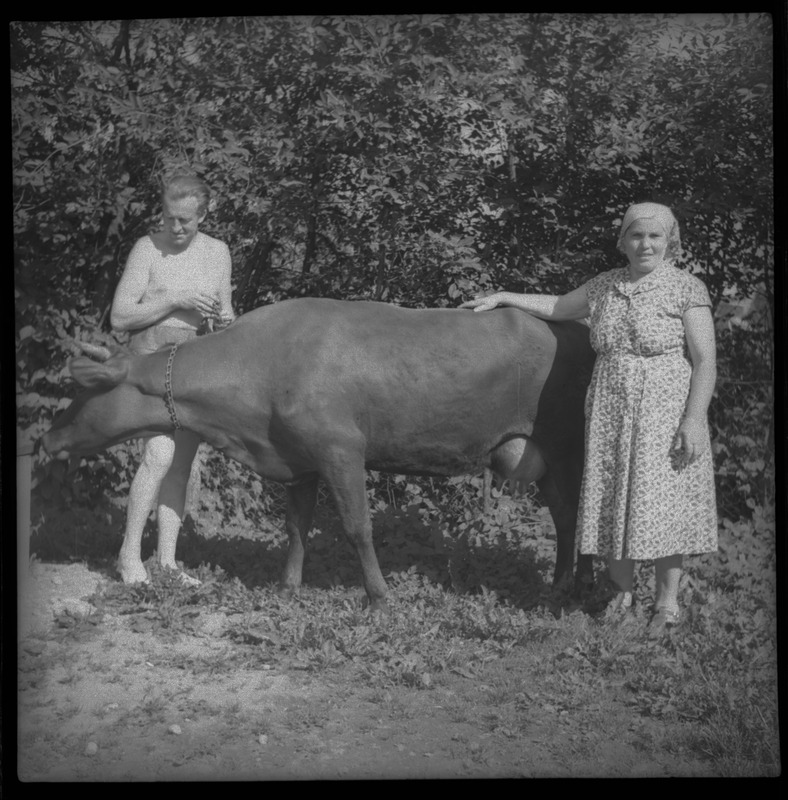 Mees ja naine lehmaga