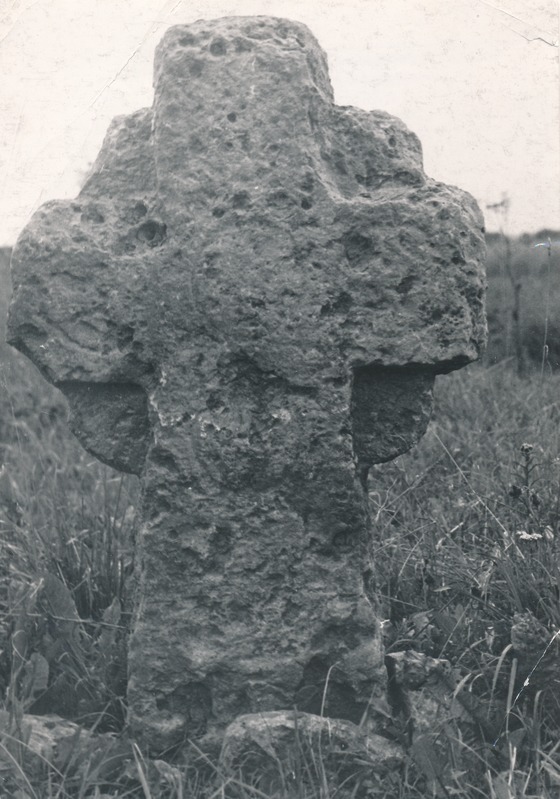 Kivirist