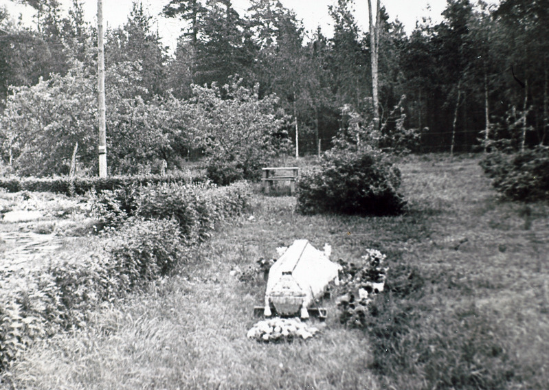 Kadunukese ärasaatmine kodust