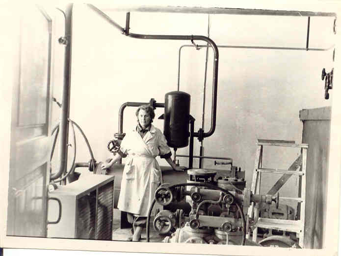 Vihula Võitööstuse kesktööstus 1953.a.
