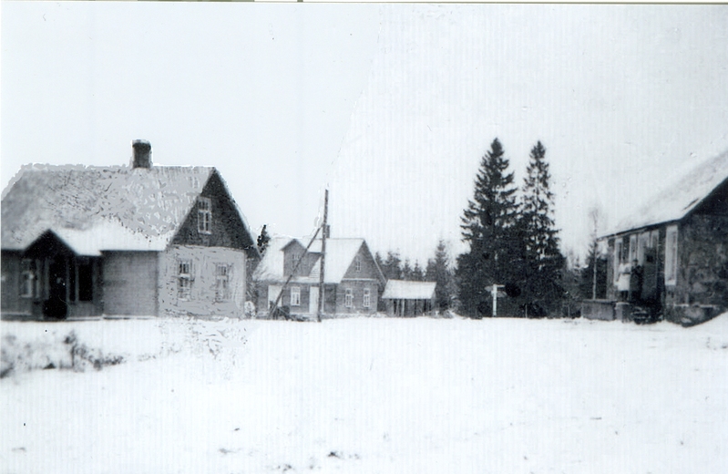 Rutikvere võitööstus 1950