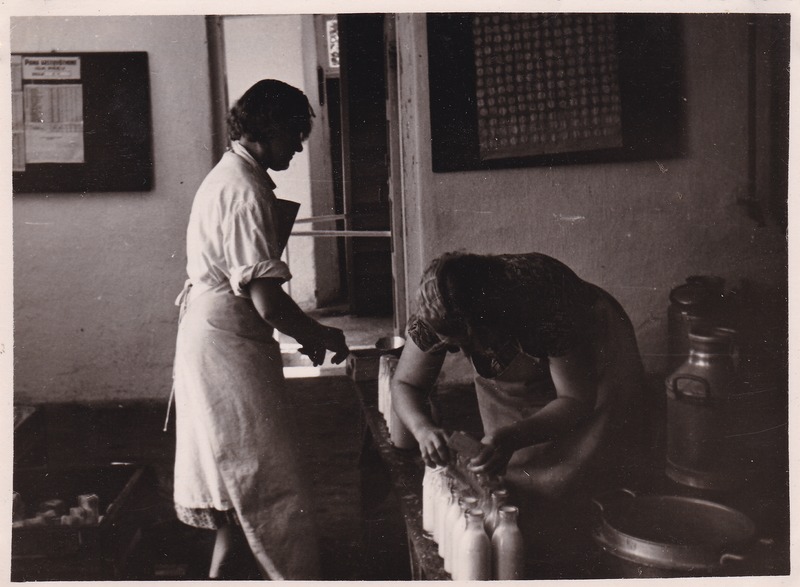 Pärnu-Jaagupi  võitööstuses koore villimine