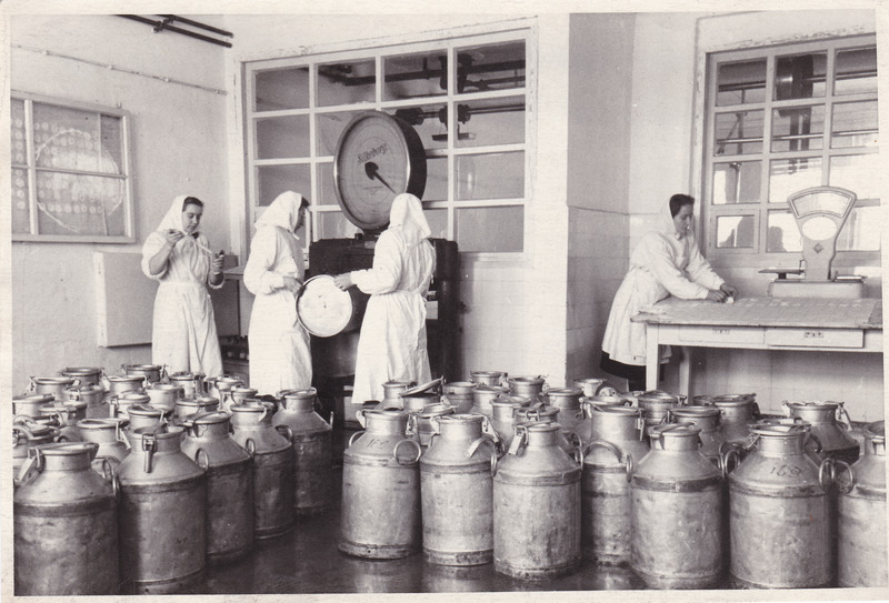 Piima vastuvõtt ja kvaliteedikontroll Tallinna PTK