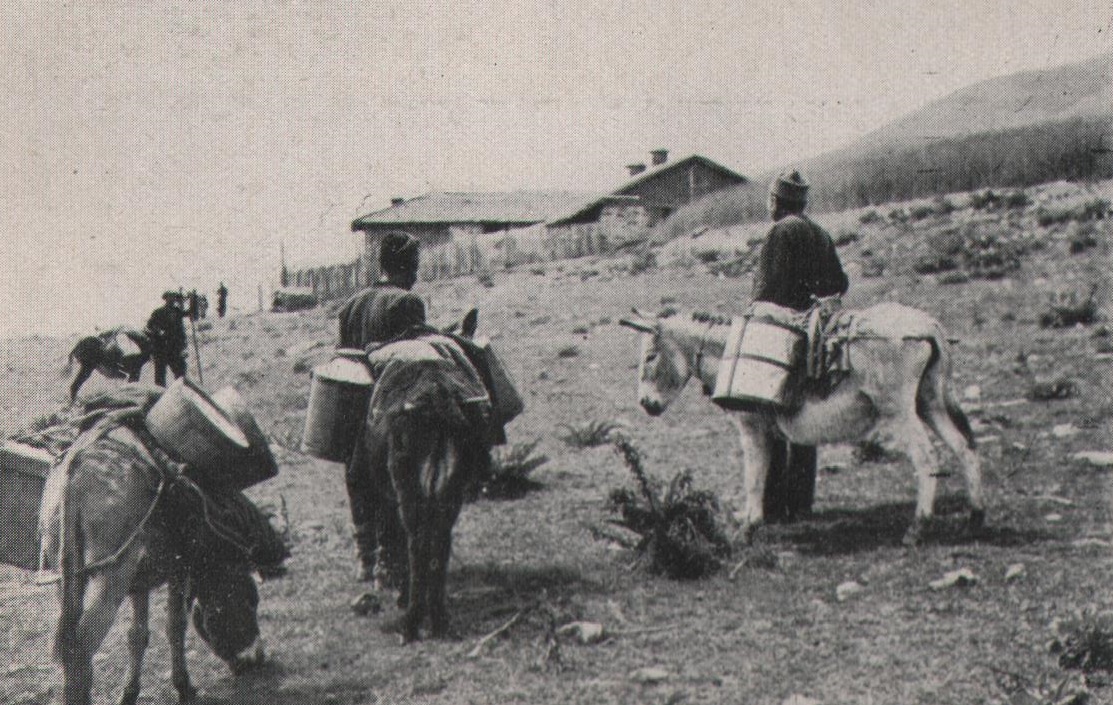 Piimakannud eeslite seljas Bulgaarias