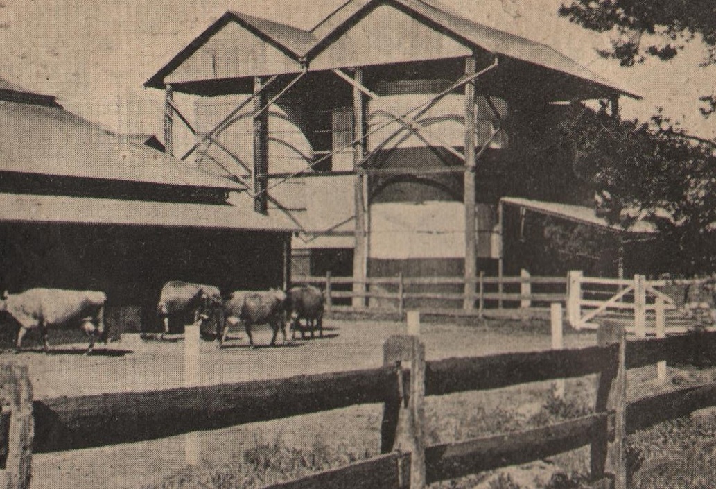 Karjafarm Austraalias
