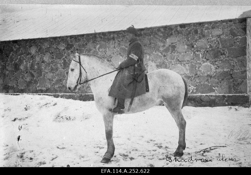 War of Liberty. Oskar Enkelberg, Chief of the Riding Cadron of the Division of Rail Trains.