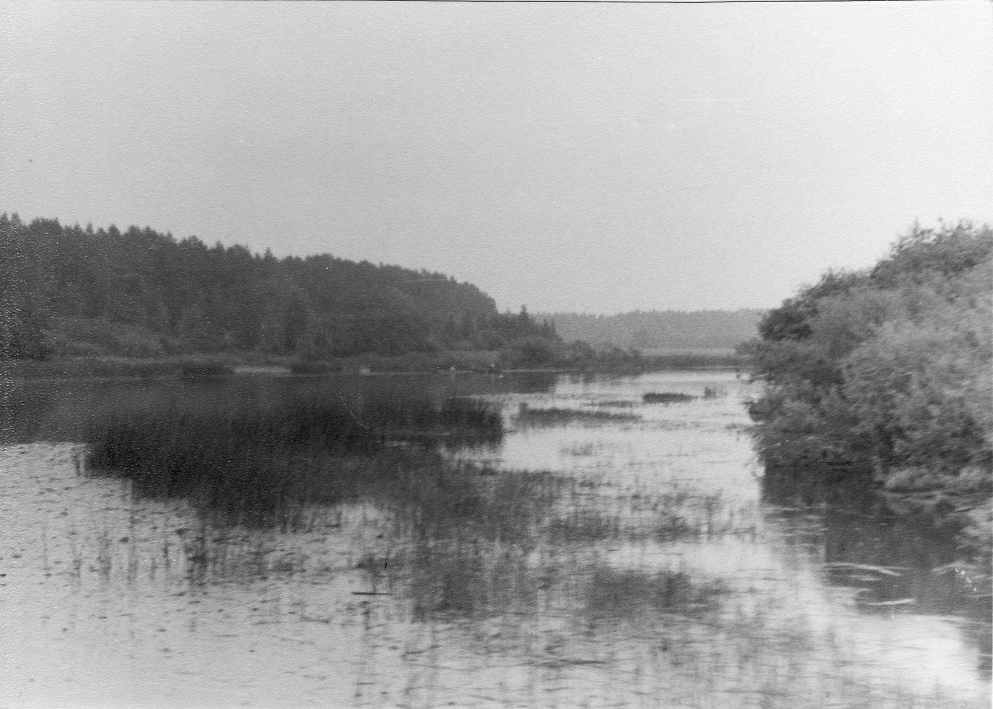 Sõtke jõgi enne tammi rajamist.