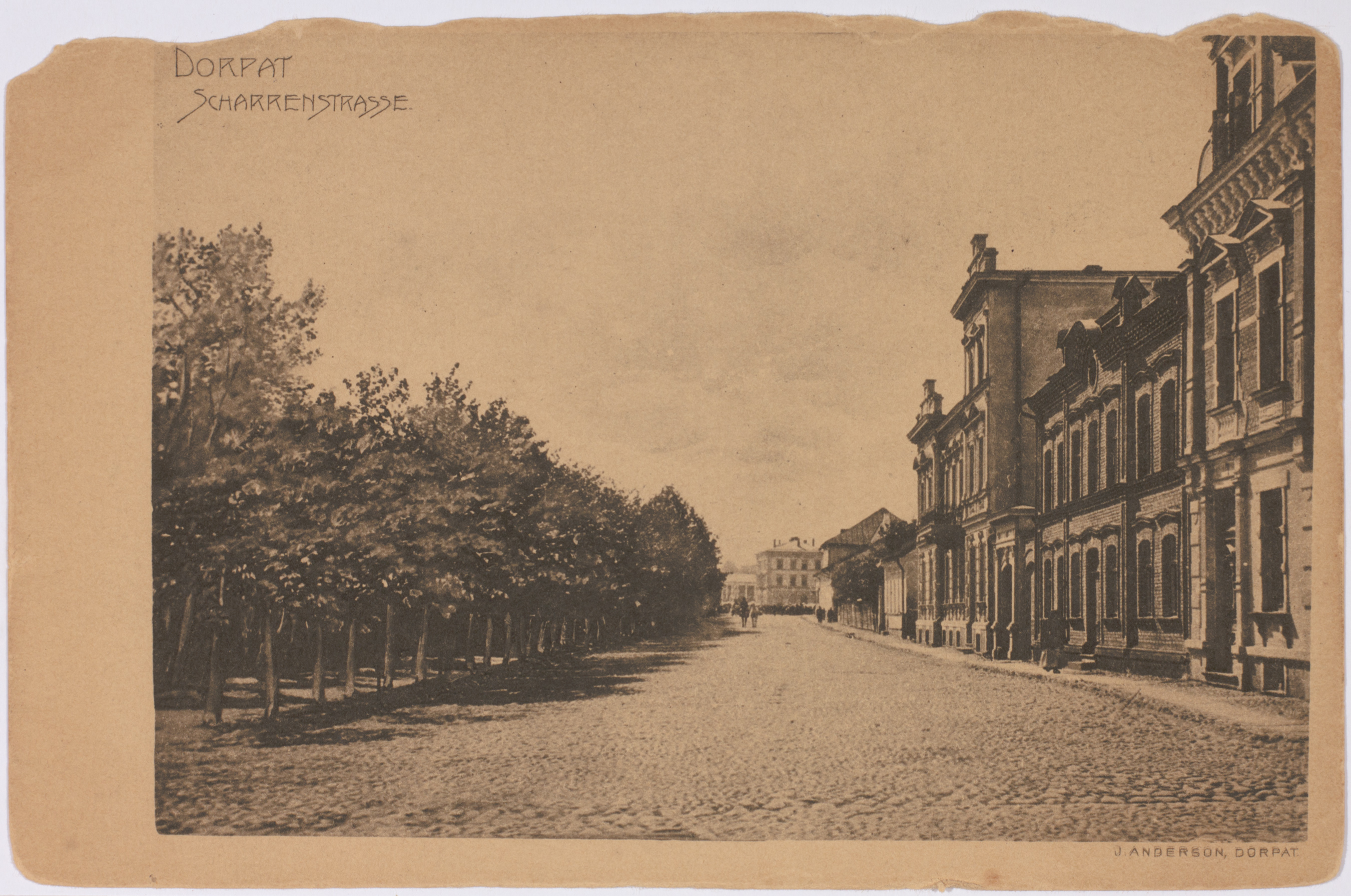 Postkaart Andrus Ansipi kogust