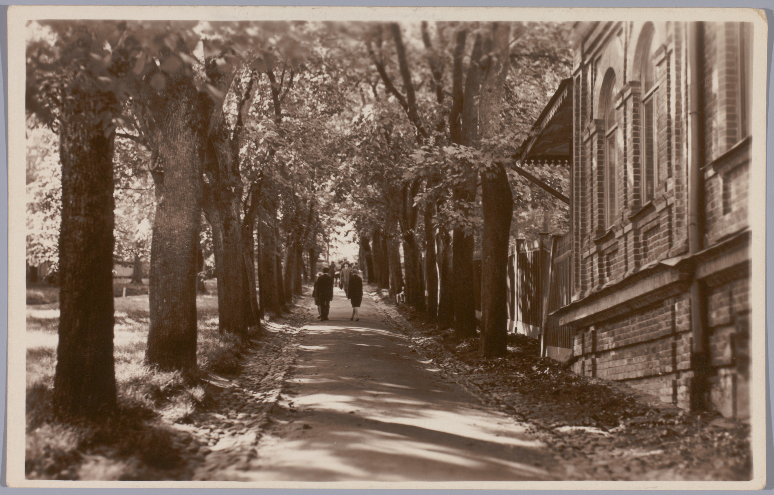Postkaart Andrus Ansipi kogust