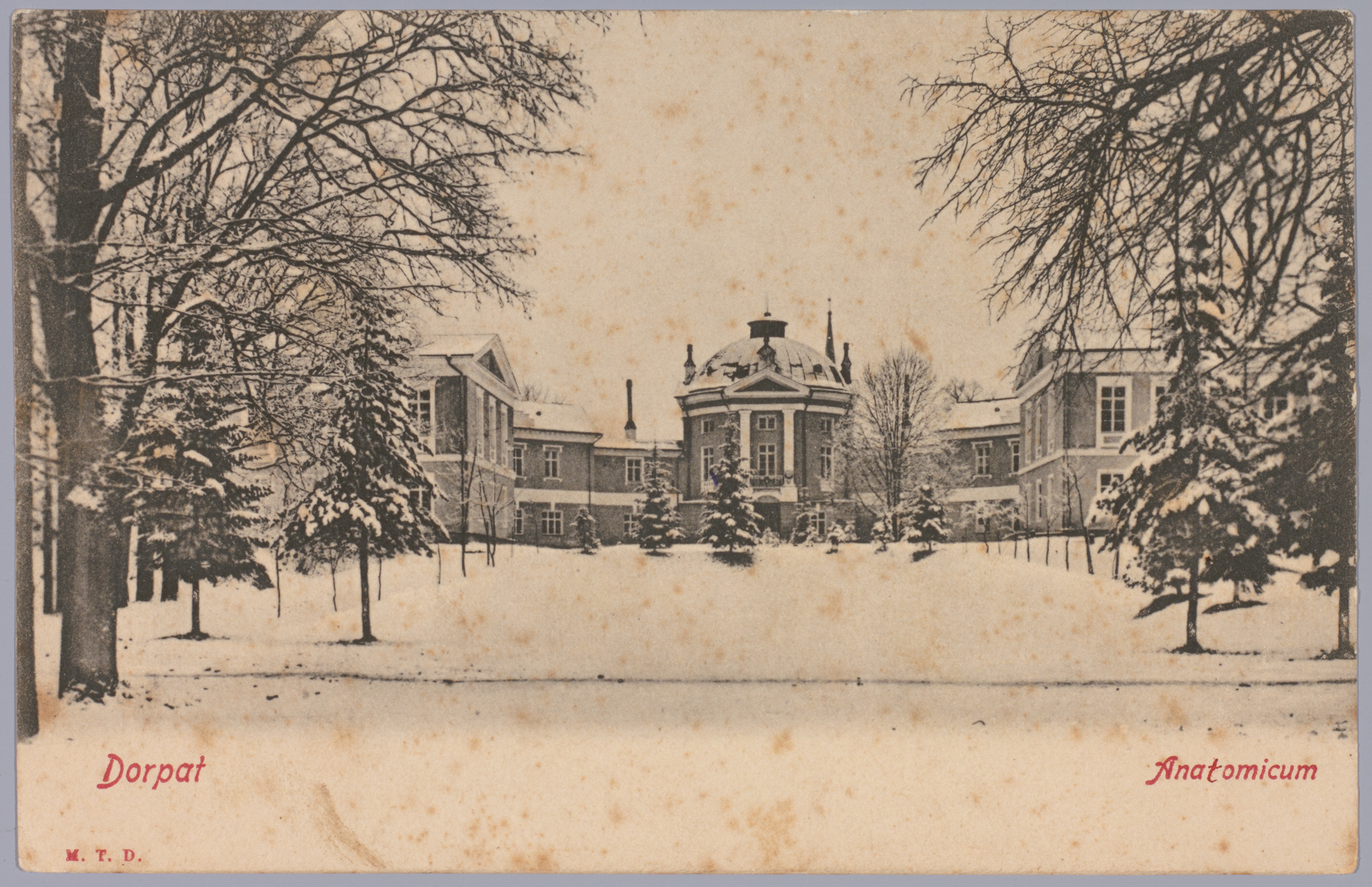 Postkaart Andrus Ansipi kogust. Anatoomikum