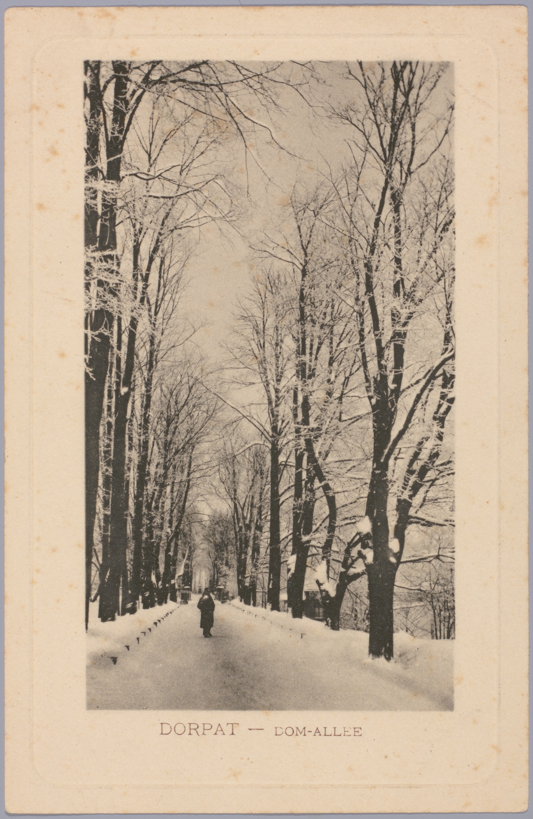 Postkaart Andrus Ansipi kogust