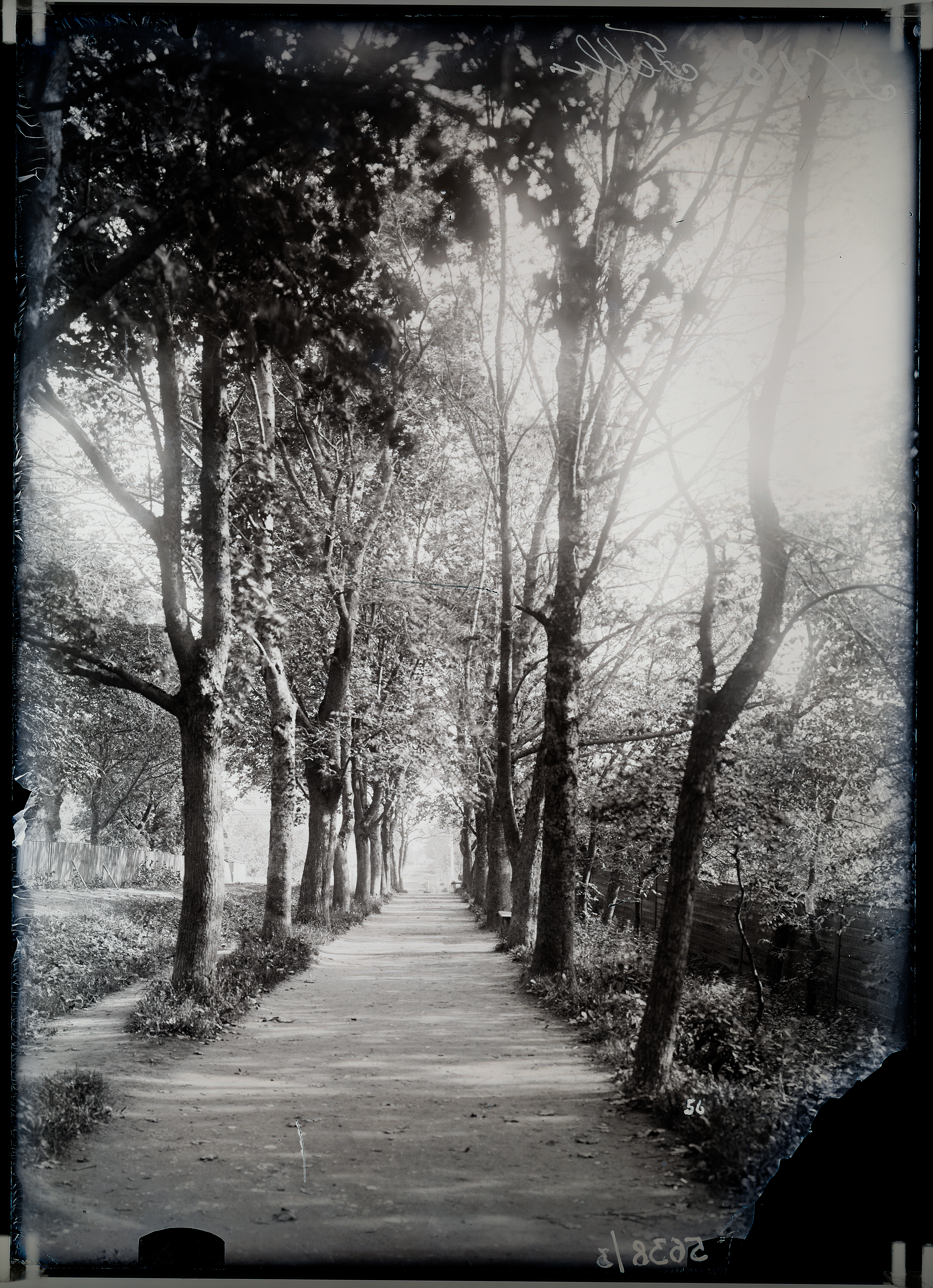 Allee Lossimägedes