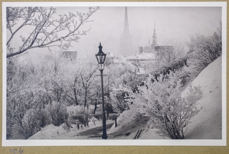 Talvine Tallinn - vaade Toompea nõlvalt