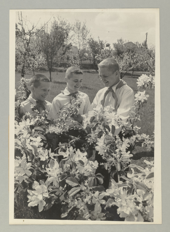 Seeria: "Rahvusvaheliseks lastepäevaks". Kišinjovi õpilased - noored mitšurinlased lillede ehitust tundma õppimas.