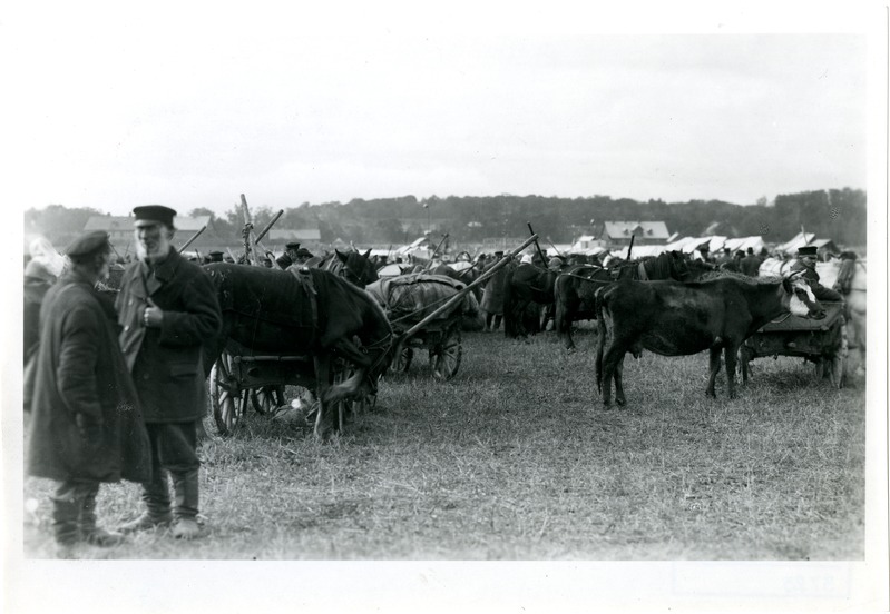 Laat Põltsamaal 1909.a.