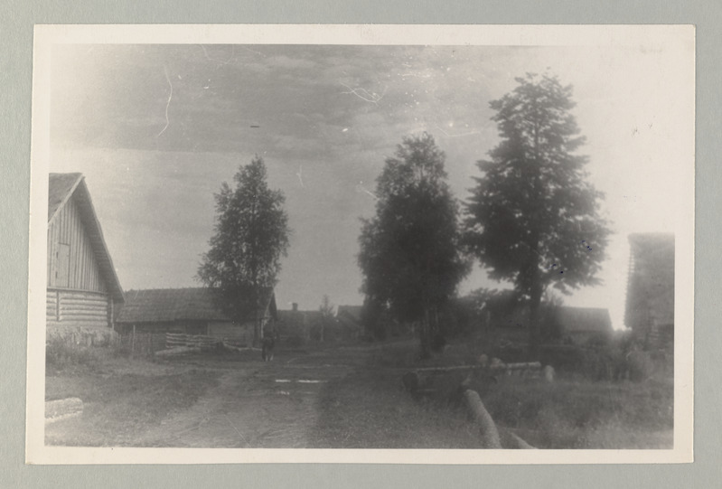 Peipsi kalurikolhoosid, 1940.a. loodud esimesed kolhoosid ja muud ENSV kolhoosid 1951.a.