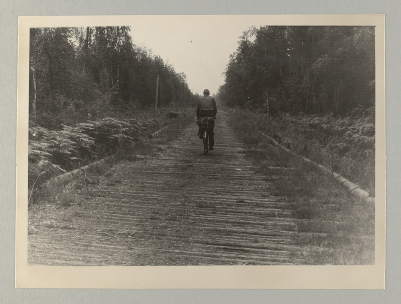Peipsi kalurikolhoosid, 1940.a. loodud esimesed kolhoosid ja muud ENSV kolhoosid 1951.a.