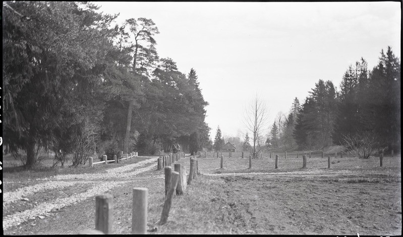 Sillamäe park, vaade teele.