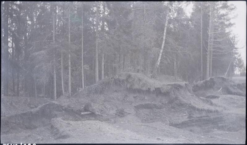 Mets Sinimägedel.