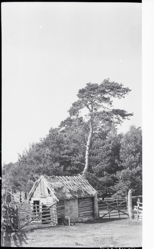 Vana saun Pullapä'l