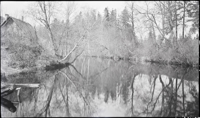 Sillamäe veski paisjärv.