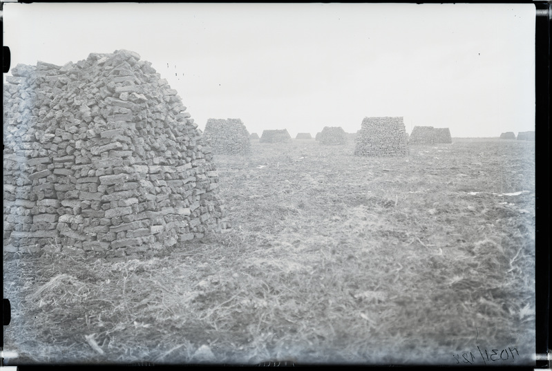 Turbatööstus, vaade turbaaunadele rabas.