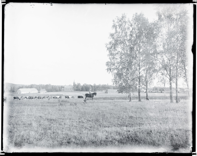 Vaade Roosa mõisale ja kirikule