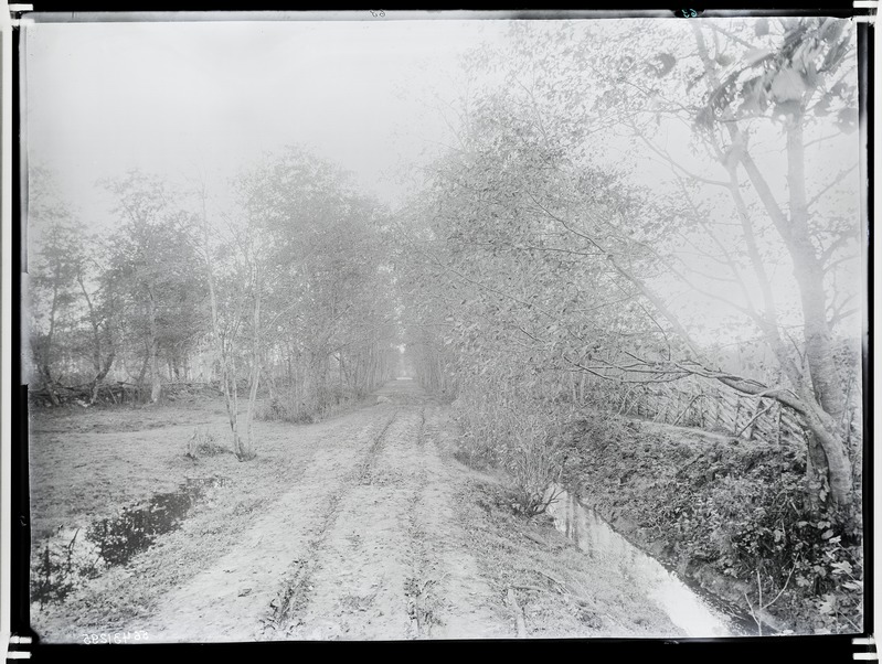 Ehmja mõis, vaade teele metsas