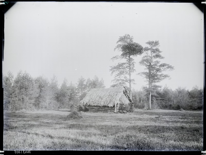 Ehmja mõis, heinaküün heinamaal