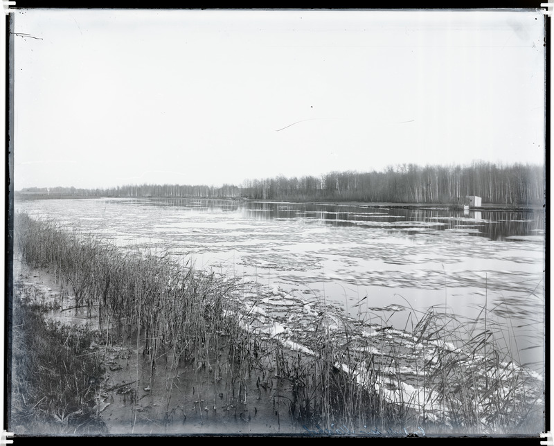Emajõgi Mäksa kohal.