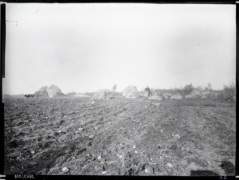 Maalsi mõis, vaade põllule