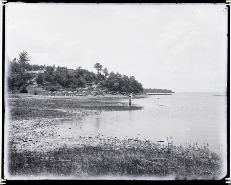 Rannu, vaade Võrtsjärvele