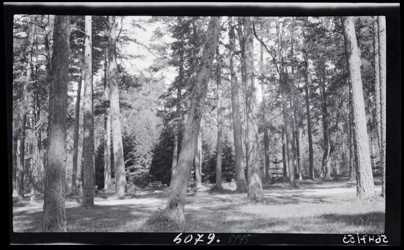 Looduslik park