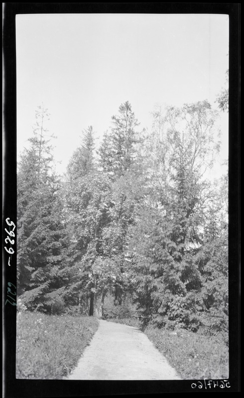 Park