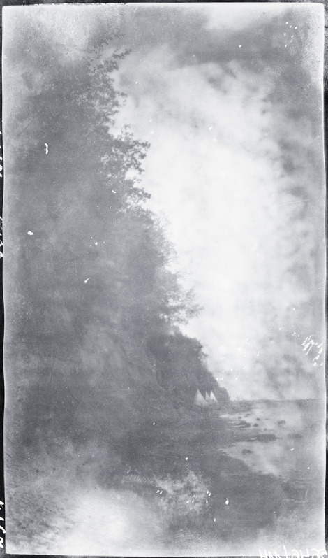 Kõrge kallas võsastikuga