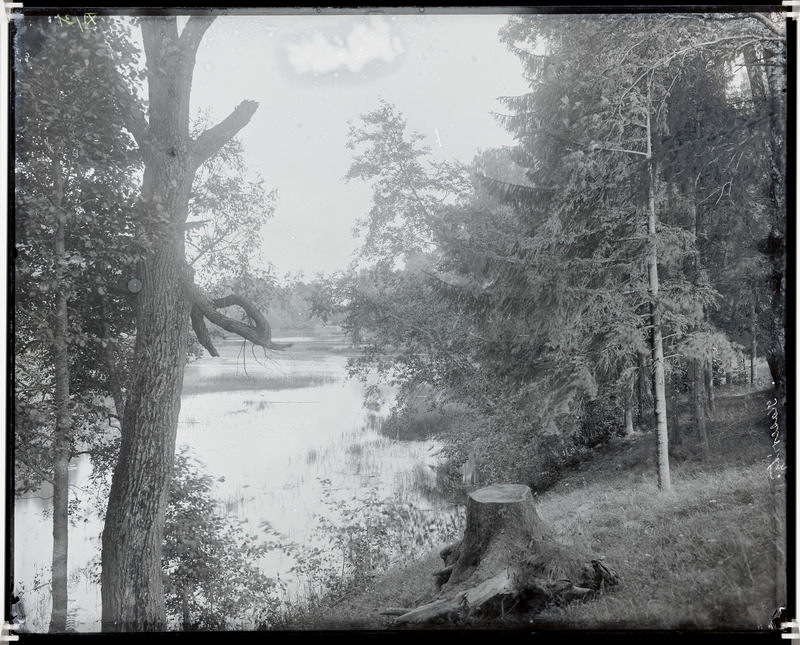 Kasaritsa maastik järvega