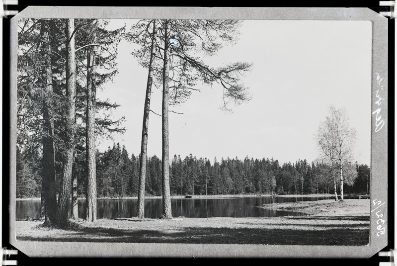 Vaade järvele