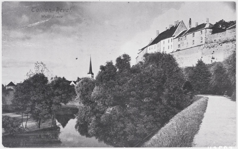 fotonegatiiv