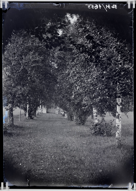 Allee Pirita tee ja Lasnamäe vahel.