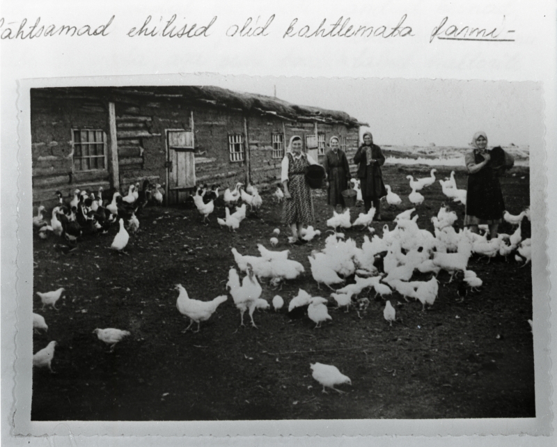 Kohaliku kolhoosi lindla Kotškovski rajoonis, Kotški alevis.