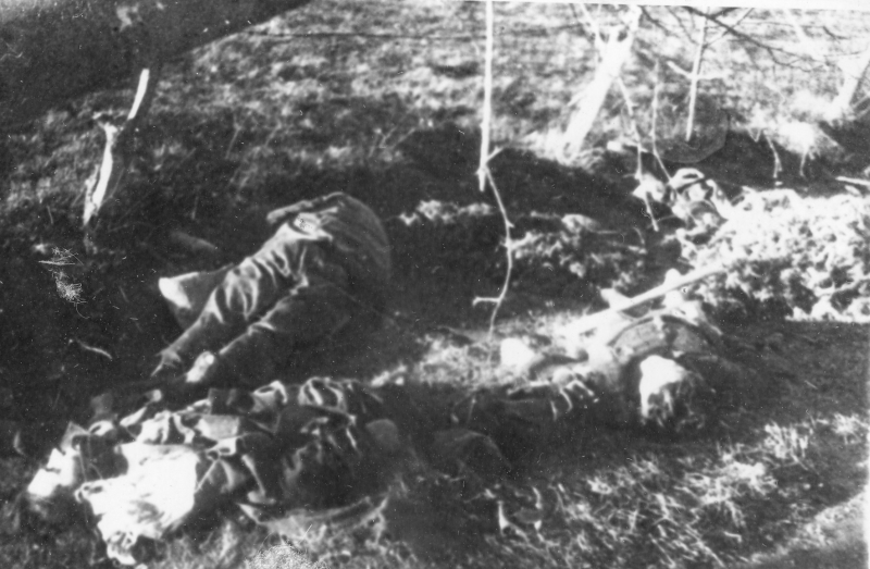 Tehumardi lahinguväli 9.okt 1944.a. Detail lahinguväljalt.
