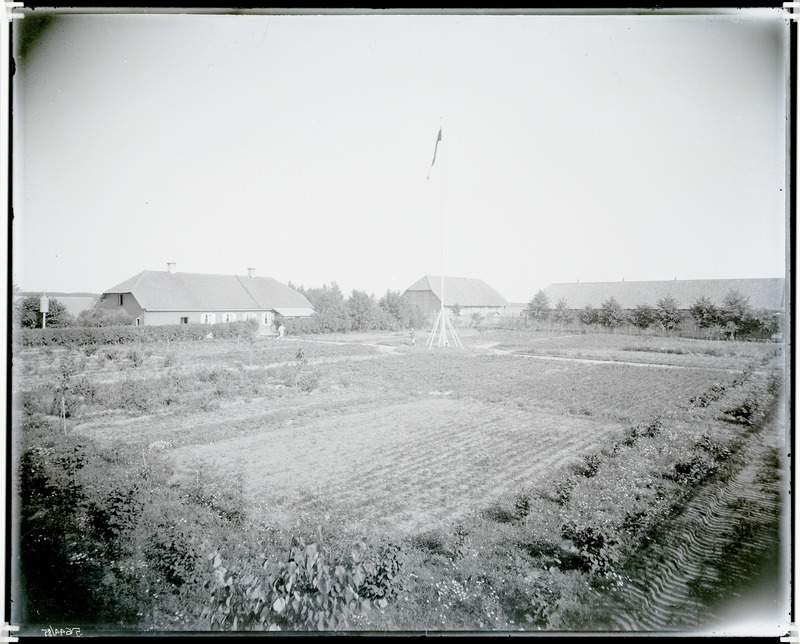 Raigla mõisa (Räpina kõrvalmõisa) aed.
