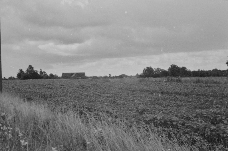 Vanamõisale (Kirbla) kuulunud Altküla. vaade läänest