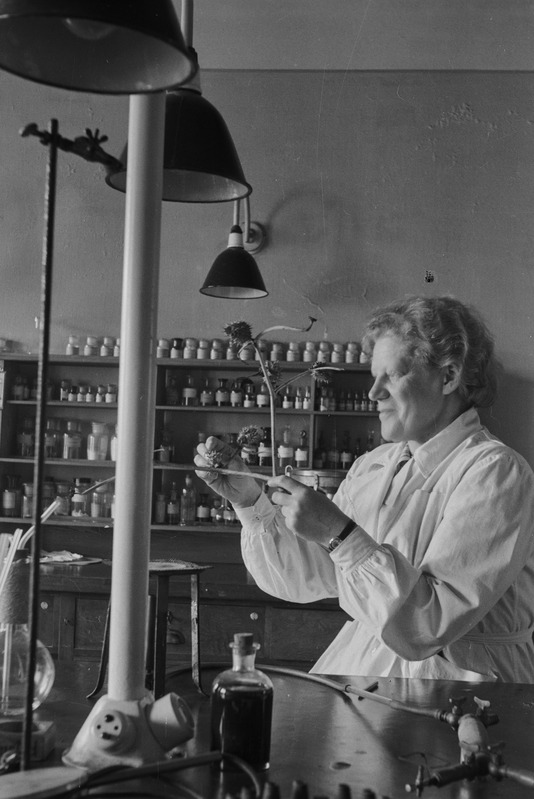 Farmakoloogia professor Alma Tomingas