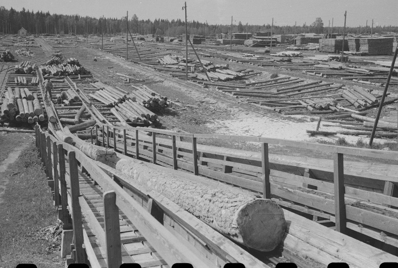 Järvakandi tehas - puidutööstuse palkide etteveo elevaator