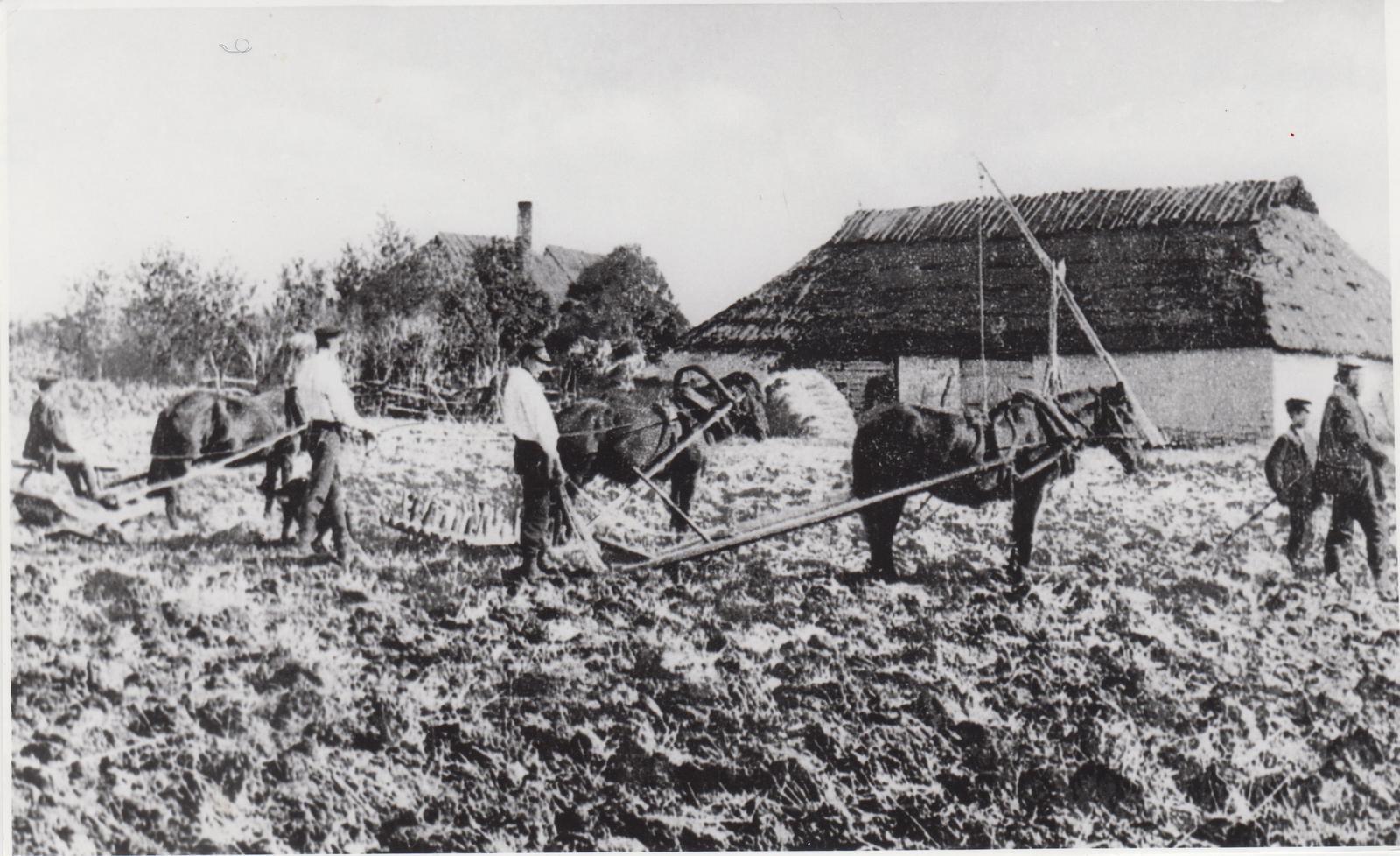 Lina töötlemine. Maa äestamine ja harimine.
