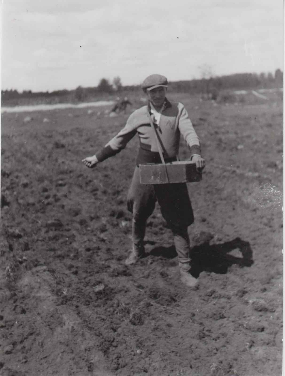 Lina töötlemine. Külvamine.