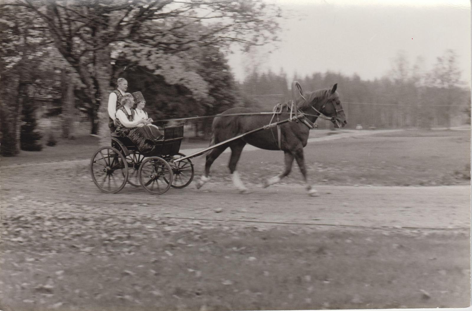 Eesti TV filmivõtted Kurgjal. Valmis film "Linnutaja laulud".