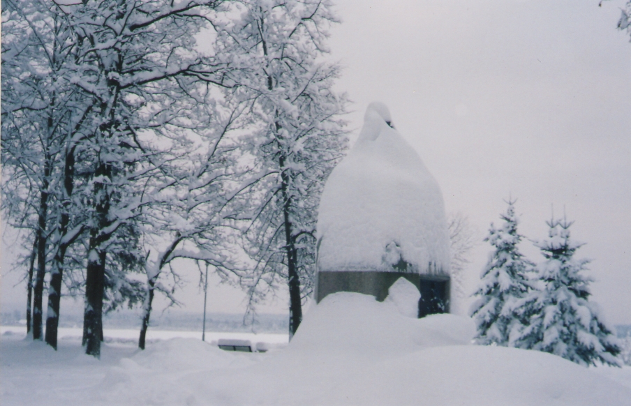 Foto. Lumega kaetud Fr. R. Kreutzwaldi mälestussammas Võru pargis. 04.01.2002.