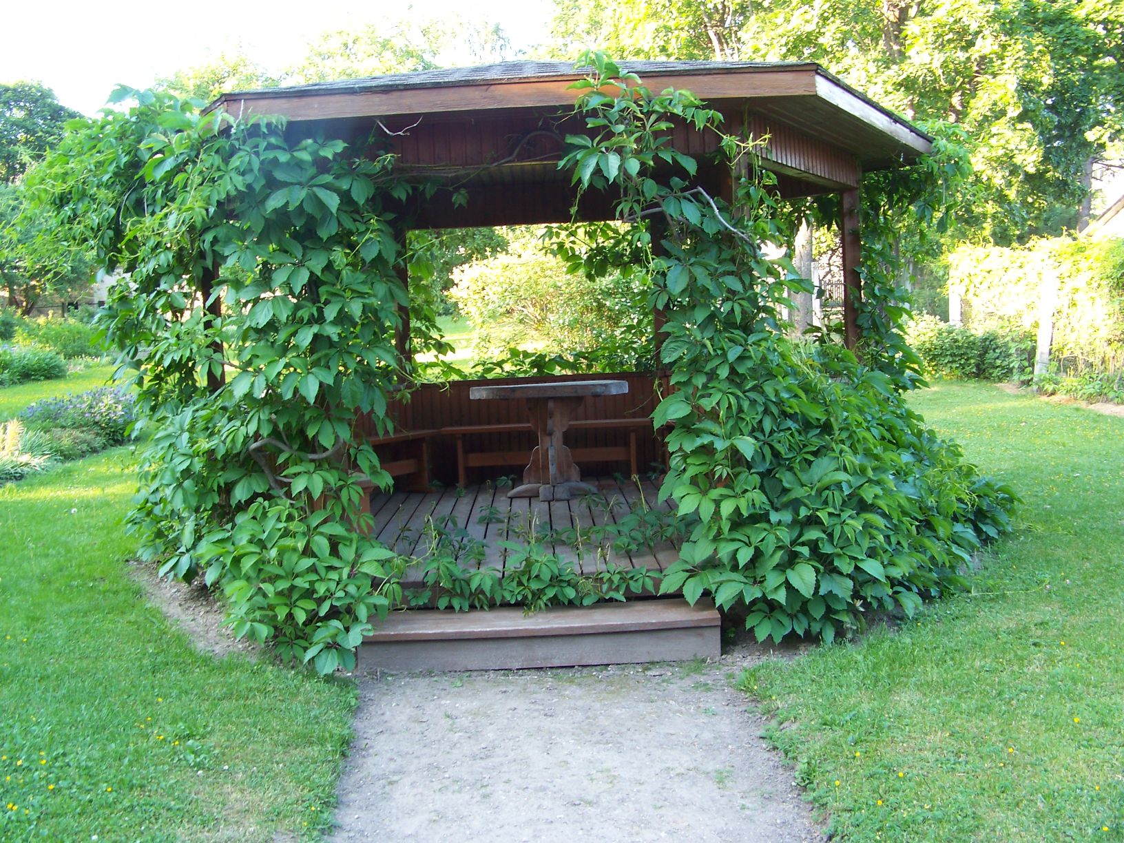 Foto. Lehtla Kreutzwaldi muuseumi aias. Võru, 27.06.2011.